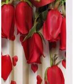 BELLA TRUE Digital Printed Long Door Curtains Multicolor (9Feet) Pack of2