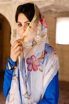 Solid blue anarkali suit set with hand painted organza dupatta 4