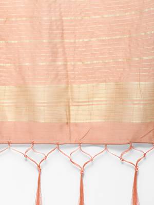 Peach embroidered chanderi salwar 4