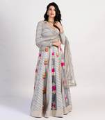 The Multi Panel grey Lehenga