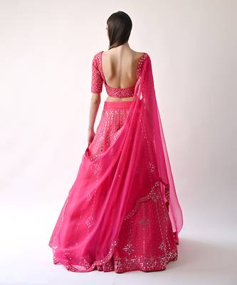 Rani Hand Embroidered Lehenga Set 6