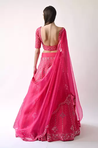 Rani Hand Embroidered Lehenga Set