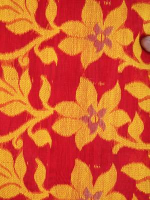 Pinkloom Women'S Red Hand_Woven Cotton Jamdani Saree Without Blouse 3