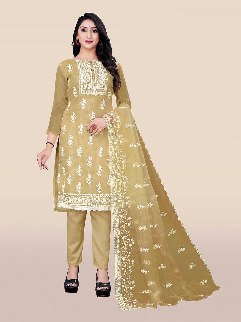 Beige embroidered organza salwar