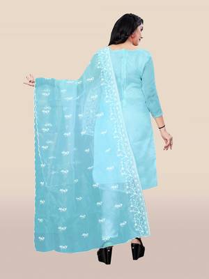 Blue embroidered organza salwar 2