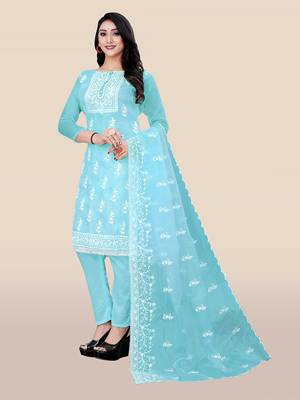 Blue embroidered organza salwar 3
