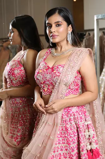 Rani Lehenga And Blouse 