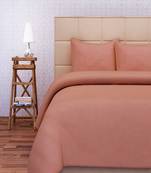 SEJ by Nisha Gupta Orange Cotton California King Bedsheet Set