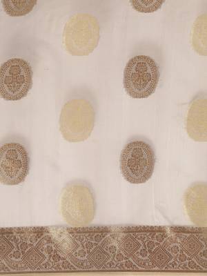 Grey Woven Organza Saree With Blouse 3
