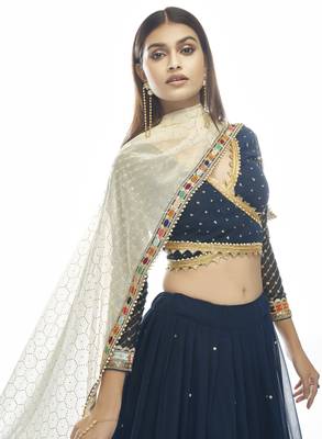 Navy Blue Net lehenga choli with dupatta 2