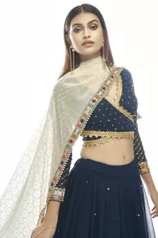 Navy Blue Net lehenga choli with dupatta
