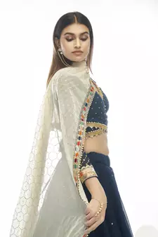 Navy Blue Net lehenga choli with dupatta