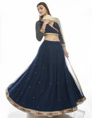 Navy Blue Net lehenga choli with dupatta 4