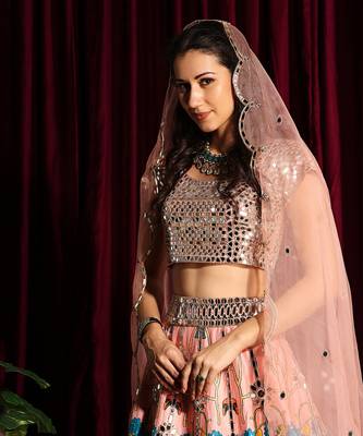 Blush Heavy Embroidered Mirror Lehenga Blouse With A Dupatta 6