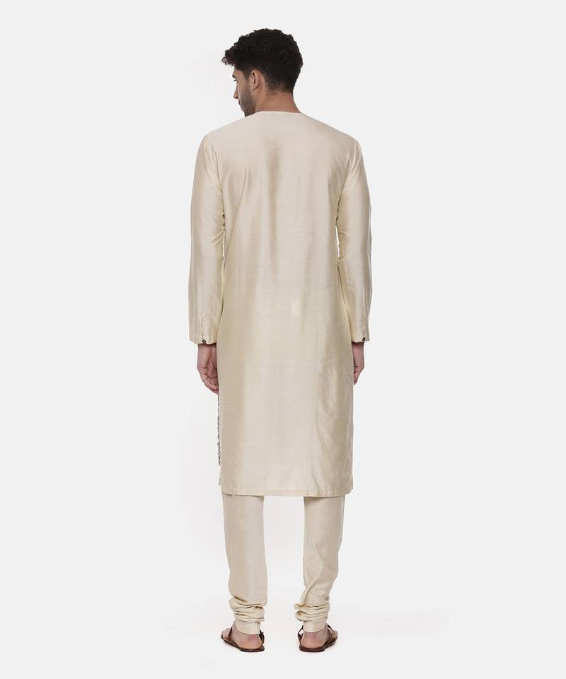 Beige Silk Printed Kurta