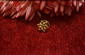 RED Star Designer Gold Plated diamond nosering or nosepin 3