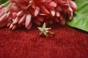 Sizzling gold floral diamond cubic zirconia clipon nose-ring or nosepin 1