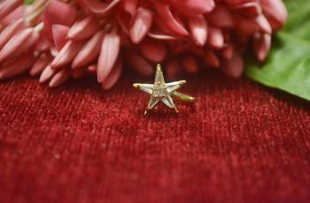 Gold Floral Designer Gold Plated diamond CLIPON nosering or nosepin 1