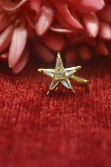 Gold Floral Designer Gold Plated diamond CLIPON nosering or nosepin