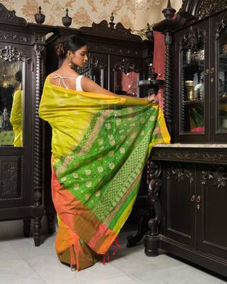 Pista And Green Half Half Gold Printed Handloom Saree 4