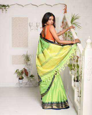 Green Silk Saree With Blue Zari Border 4