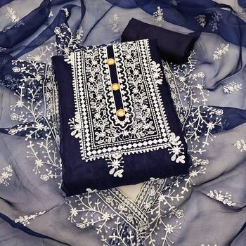 Blue embroidered organza salwar 1