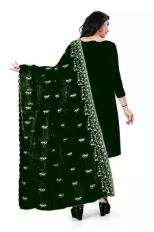 Green embroidered organza salwar