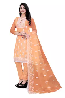 Orange embroidered organza salwar