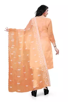 Orange embroidered organza salwar