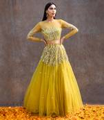 Lemon Green Net Lehenga