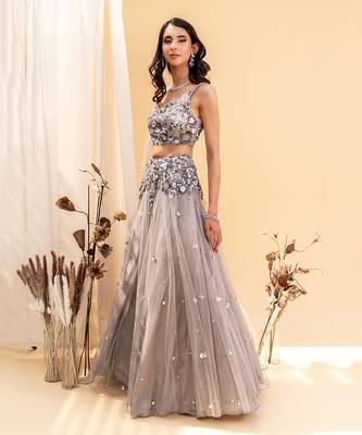 Grey Net Lehenga 2