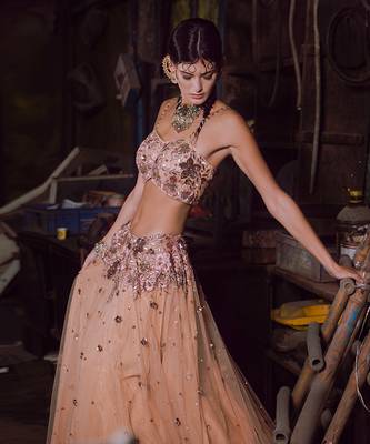 Beige Net Lehenga 2