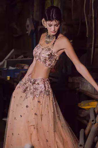 Beige Net Lehenga