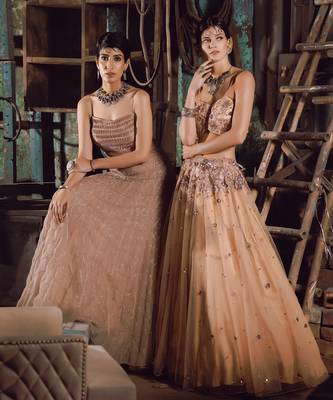 Beige Net Lehenga 3