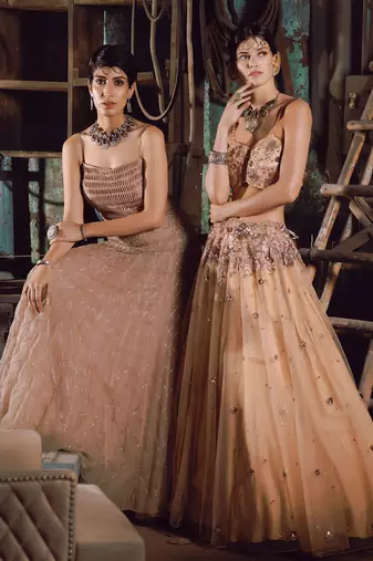 Beige Net Lehenga