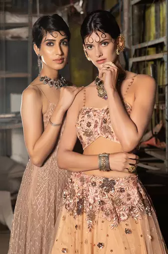 Beige Net Lehenga