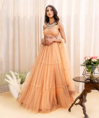Beige Net Lehenga 1