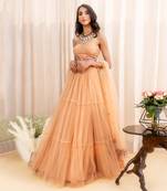 Beige Net Lehenga
