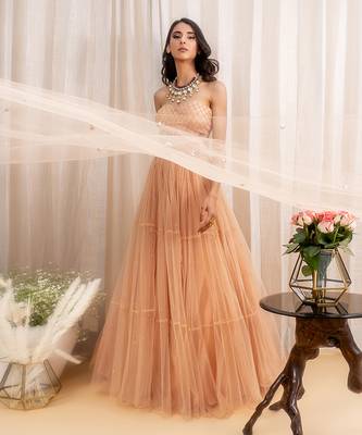 Beige Net Lehenga 2