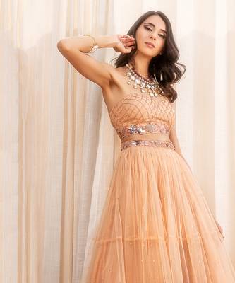 Beige Net Lehenga 4