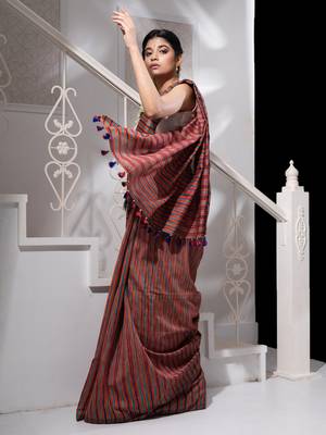 Multicolor Ikkat Handloom Saree 3