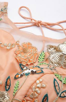 Panchhi Women Peach Net Sequinse Embroidered Semi-Stitched Lehenga & Blouse with Dupatta 2