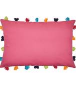Lushomes Pink Sofa Cushion Cover Online with Colorful Tassels (Single pc, 14 x 20 inches)