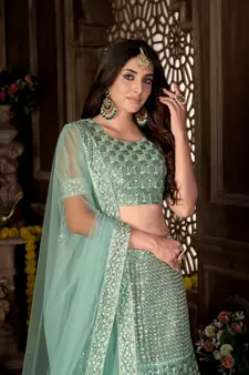 Green embroidered net  lehenga