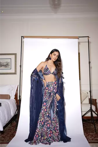 Periwinkle overlay set