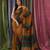 Dark orange woven cotton saree with blouse