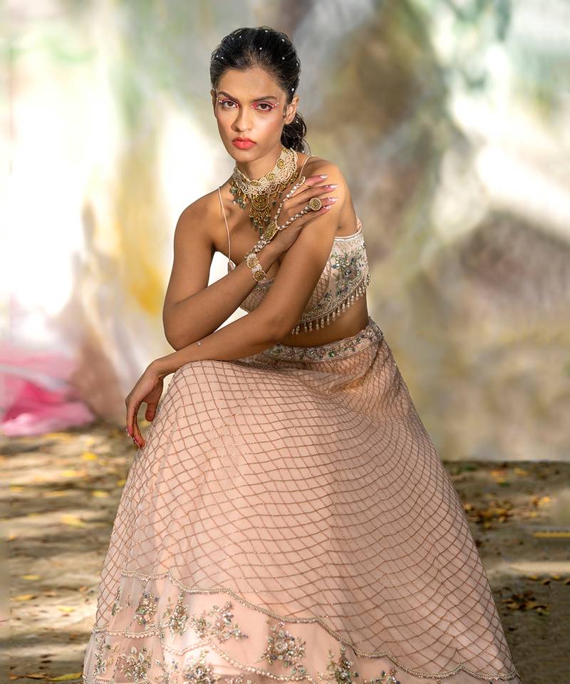 Champagne Pink Fitted Blouse With Flared Lehenga