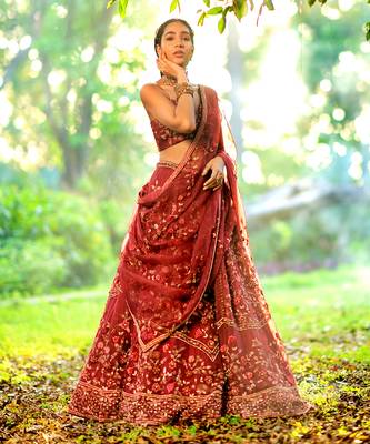 Burgundy Wine Fitted Blouse With Flared Lehenga 1