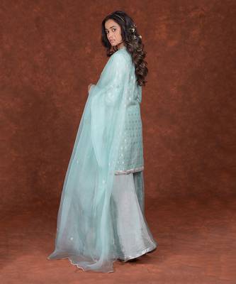 Aqua Haze Banarasi Handwoven Sharara Set 3