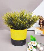 Color Palette Planter